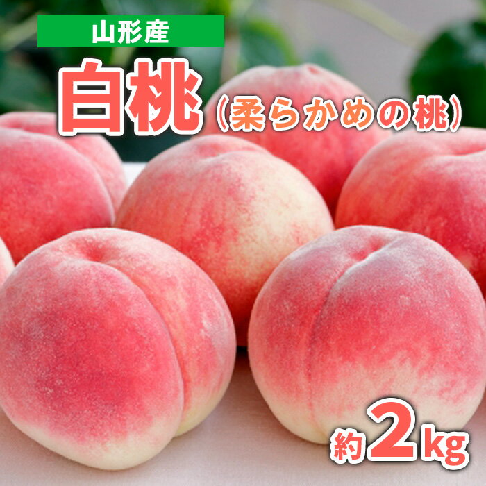 【ふるさと納税】山形産 白桃 (柔らかめの桃)　約2kg 秀