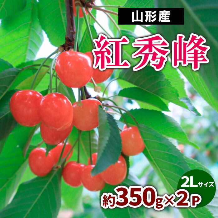 山形産 さくらんぼ 紅秀峰 約700g(約350g×2P) 2Lサイズ 【令和6年産先行予約】FS23-723 山形 山形県 山形市 フルーツ 果物 くだもの 送料無料 さくらんぼ サクランボ 紅秀峰 2l