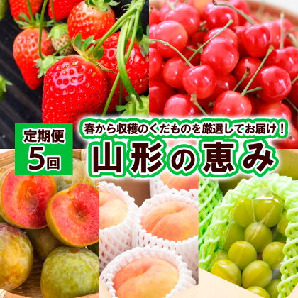 【定期便5回】山形の恵み 【令和6年産先行予約】FS23-726 山形 山形県 山形市 フルーツ 果物 くだもの 送料無料 いちご イチゴ 苺 おとめ心 さくらんぼ サクランボ 佐藤錦 すもも スモモ ソルダム 桃 もも モモ 白桃 ぶどう 葡萄 ブドウ シャインマスカット