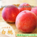 【ふるさと納税】山形市産 白桃 秀品 約3kg(6玉～13玉