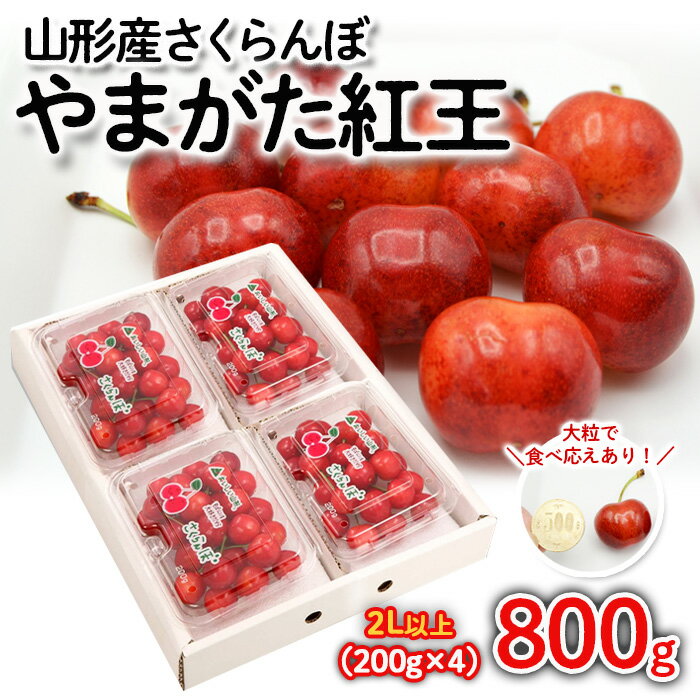 さくらんぼ やまがた紅王 約800g(200g×4パック) 2Lサイズ以上 FS23-747 山形 山形県 山形市 フルーツ 果物 くだもの 送料無料 さくらんぼ サクランボ やまがた紅王 2l