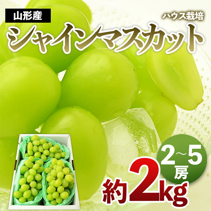 【ふるさと納税】[ハウス栽培]山形のシャインマスカット 秀品 約2kg(2～5房) 【令和6年産先行予約】FS23-749 山形 山形県 山形市 フルーツ 果物 くだもの 送料無料 ぶどう 葡萄 ブドウ シャインマスカット 2kg 1