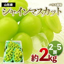 【ふるさと納税】[ハウス栽培]山形のシャインマスカット 秀品 約2kg(2～5房) 【令和6年産先行予約】FS23-749 山形 山形県 山形市 フルーツ 果物 くだもの 送料無料 ぶどう 葡萄 ブドウ シャインマスカット 2kg