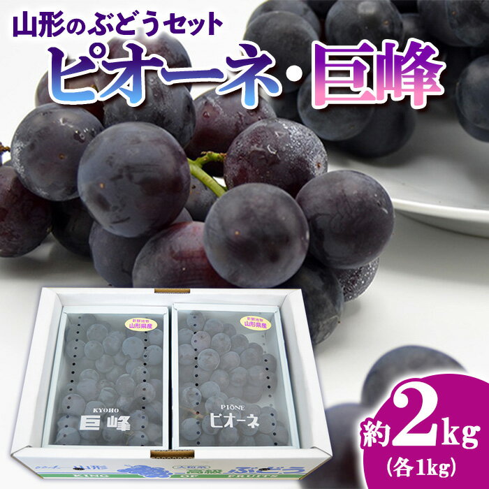 山形のぶどうセット 秀品 約2kg(ピオーネ約1kg2房前後・巨峰約1kg2房前後)[9月中旬～10月中旬お届け] 【令和6年産先行予約】FS23-751 山形 山形県 山形市 フルーツ 果物 くだもの 送料無料 ぶどう 葡萄 ブドウ ピオーネ 巨峰 詰め合わせ デザート