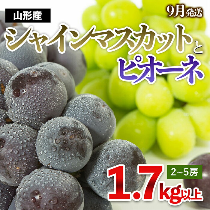 やまがたのぶどう シャインマスカット＆ピオーネ 秀品 約1.7kg(2～5房程度) [9月発送] 【令和6年産先行予約】FS23-752 山形 山形県 山形市 フルーツ 果物 くだもの 送料無料 ぶどう 葡萄 ブドウ シャインマスカット ピオーネ デザート 詰め合わせ