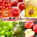 【ふるさと納税】【定期便6回】山形市産 厳選フルーツ定期便 【令和6年産先行予約】FS23-762 山形 山形県 山形市 フルーツ 果物 くだもの さくらんぼ 紅秀峰 桃 もも モモ ぶどう 葡萄 シャインマスカット 洋梨 ラフランス ラ・フランス りんご リンゴ 林檎 ふじ