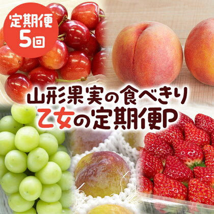 【定期便5回】山形果実の食べきり[乙女の定期便P] 【令和6年産先行予約】FS23-774 山形 山形県 山形市 フルーツ 果物 くだもの さくらんぼ 紅秀峰 桃 もも あかつき姫 すもも 秋姫 ぶどう 葡萄 シャインマスカット いちご イチゴ とちおとめ