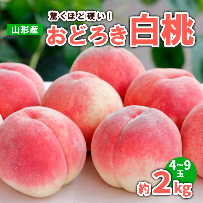 【ふるさと納税】山形産 おどろき 白桃 秀 約2kg(4～9