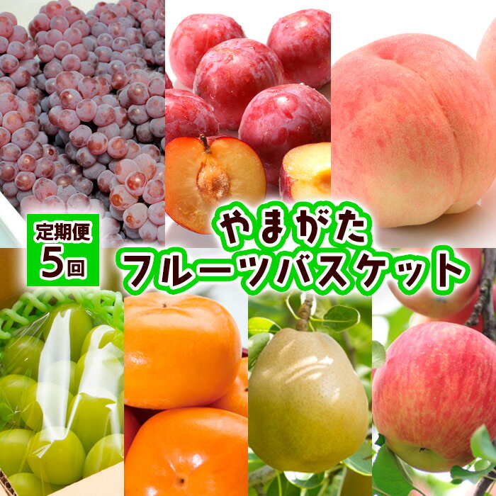 【定期便5回】やまがた フルーツバスケット 【令和6年産先行予約】FS23-790 山形 山形県 山形市 フルーツ 果物 くだもの ぶどう 葡萄 デラウェア すもも 秋姫 桃 もも シャインマスカット 柿 洋梨 ラフランス ラ・フランス りんご リンゴ 林檎 ふじ