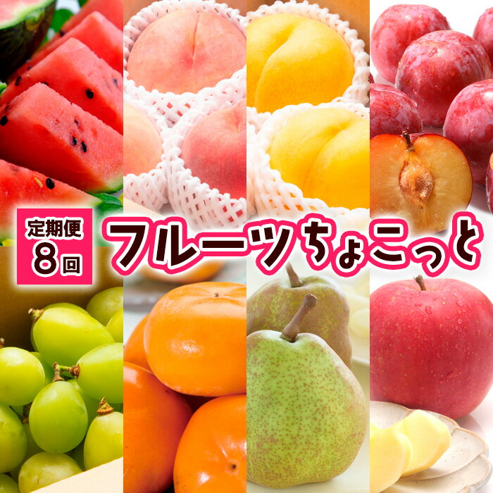 【ふるさと納税】【定期便8回】フルーツちょこっと 【令和6年