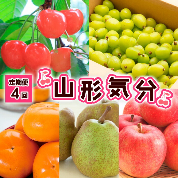 楽天山形県山形市【ふるさと納税】【定期便4回】山形気分 【令和6年産先行予約】FS23-800 山形 山形県 山形市 フルーツ 果物 くだもの 送料無料 さくらんぼ サクランボ 佐藤錦 ぶどう 葡萄 ブドウ シャインマスカット 柿 洋梨 洋なし ラフランス ラ・フランス りんご リンゴ 林檎 ふじ