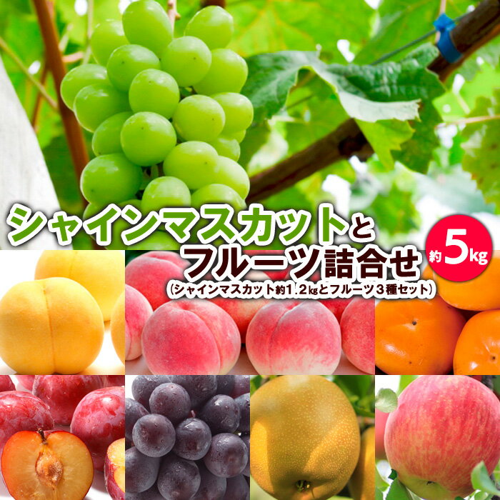 27位! 口コミ数「0件」評価「0」シャインマスカットとフルーツ詰合せ 約5kg 【令和6年産先行予約】FS23-803 山形 山形県 山形市 フルーツ 果物 くだもの 送料無･･･ 