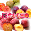 楽天山形県山形市【ふるさと納税】【定期便3回】すもも三昧 【令和6年産先行予約】FS23-805 山形 山形県 山形市 フルーツ 果物 くだもの 送料無料 すもも スモモ ソルダム 花火 秋姫 食べ比べ