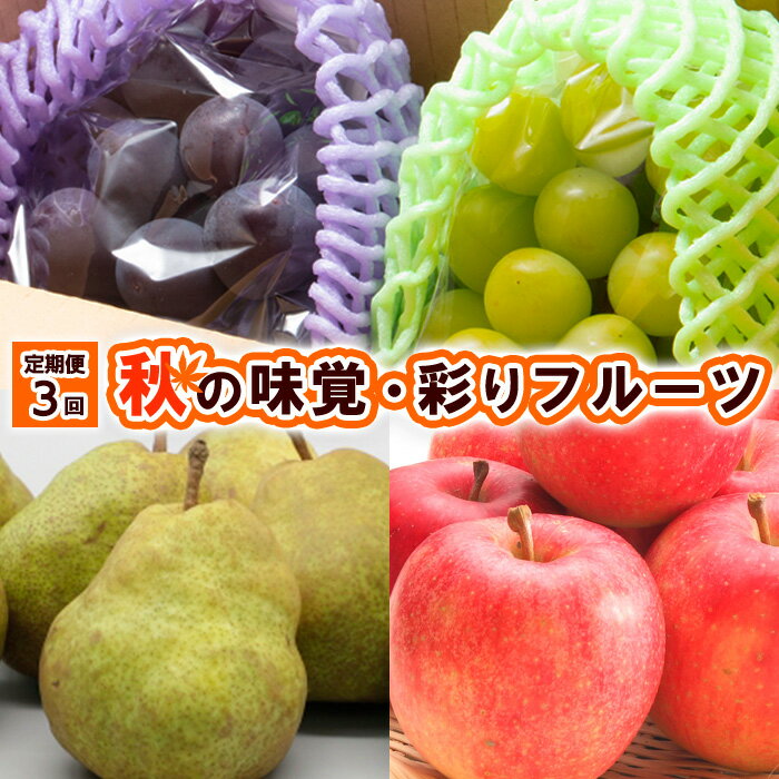 楽天山形県山形市【ふるさと納税】【定期便3回】秋の味覚 彩りフルーツ 【令和6年産先行予約】FS23-806 山形 山形県 山形市 フルーツ 果物 くだもの 送料無料 ぶどう 葡萄 ブドウ シャインマスカット ピオーネ 洋梨 洋なし ラフランス ラ・フランス りんご リンゴ 林檎 ふじ