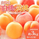 【ふるさと納税】やまがたの桃(白桃・黄桃詰合せ) 品種お任せ 白桃&黄桃 秀品 約3kg(6~12玉程度) 【令和7年産先行予約】FS23-813 くだもの 果物 フルーツ 山形 山形県 山形市 2025年産