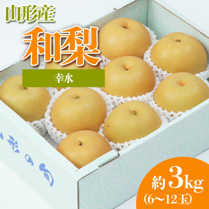 【ふるさと納税】やまがたの和なし (幸水) 秀品 約3kg(6～12玉程度) 【令和6年産先行予約】FS23-814 山形 山形県 山形市 フルーツ 果物 くだもの 送料無料 和梨 和なし 幸水 1