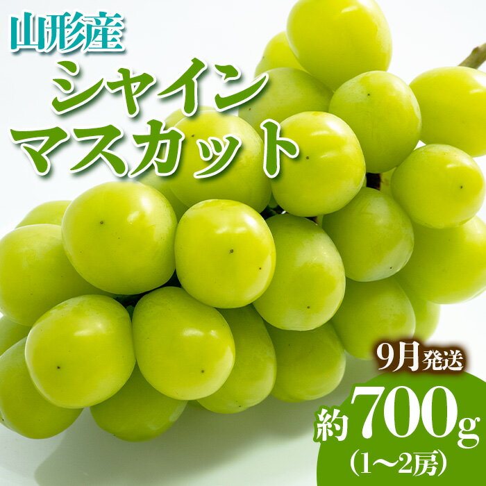 楽天山形県山形市【ふるさと納税】やまがたのぶどう シャインマスカット 9月 秀品 約700g（1～2房程度） 【令和6年産先行予約】FS23-816 山形 山形県 山形市 フルーツ 果物 くだもの 送料無料 ぶどう 葡萄 ブドウ シャインマスカット