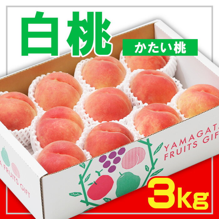 【ふるさと納税】☆フルーツ王国山形☆白桃 秀品 3kg [かたい桃] 【令和6年産先行予約】FS23-824 山形 山形県 山形市 フルーツ 果物 くだもの 送料無料 桃 もも モモ