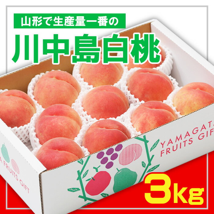 【ふるさと納税】☆フルーツ王国山形☆ 白桃 秀品3kg [山形で生産量1番の 川中島白桃 ] 【令和6年産先行予約】FS23-825 山形 山形県 山形市 フルーツ 果物 くだもの 送料無料 桃 もも モモ 川中…