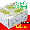 商品説明 名称 シャインマスカット 産地名 山形産 内容量 【令和6年産】 シャインマスカット 秀品 1.4kg以上 (2～4房程度) 発送期間 2024年10月01日頃～2024年10月31日頃 ※天候や収穫状況により配送時期が前後する場合がございます。 配送方法 冷蔵 提供元 佐竹物産株式会社 山形の豊かな気候で育まれたシャインマスカット。その姿はまさに大きな宝石。 種がなく、皮ごと食べられるので大変人気なぶどうです。 事業者：佐竹物産株式会社 ◆必ずお読みください◆ ◎お受け取り後はすぐに中身をご確認ください。 シャインマスカットについて ◎基本的には種の無いぶどうですが、まれに種が残る場合があります。 ◎完熟により糖度が上がる際、脱粒や果汁漏れが起こる場合がございます。その旨ご了承の上でお申し込みをお願い致します。 ◎天候や収穫等の状況によりご希望のお品をご用意できない場合であっても、税金の控除等に影響の無いよう、代替品をご用意致します。 (すでに税金の控除等を受けている方への返金は確定申告や修正申告が必要となる場合があります。) ◎「お申し込みの不備」「事前連絡をいただいていない長期不在や転居」「住所不明」「日数が経ってからのお受取り」に対する再出荷は致しかねますのでご了承ください。 ※沖縄・離島への配送は不可とさせていただきます。 ※季節商品のため、お礼の品の配送日の指定は承っておりません。 ※天候や収穫状況により、お届けや規格が変更になる場合がございます。 ※配送時の揺れや傾きにより若干の傷が生じる場合がございます。 ※画像はイメージです。画像のものと多少異なる場合があります。 ※商品お受取り後、すぐに商品の状態をご確認ください。お礼の品の発送には万全を期しておりますが、万が一ひどい傷み等があった場合は、写真・画像を添付の上お早めに「山形市ふるさと納税お礼の品事務局」までご連絡ください。尚、お時間が過ぎてからの対応は致しかねます。 ・ふるさと納税よくある質問はこちら ・寄附申込みのキャンセル、返礼品の変更・返品はできません。あらかじめご了承ください。【令和6年産先行予約】 「ふるさと納税」寄附金は、下記の事業を推進する資金として活用してまいります。 寄附を希望される皆さまの想いでお選びください。 1　市政一般 2　健康の保持・増進 3　健やかな子どもの育成 4　地域共生社会の実現 5　創造都市の推進 6　地域経済の活性化 7　山形ブランドの浸透と交流拡大 8　都市の活動を支える基盤整備 9　環境保全 10　チャレンジ環境の創出等 入金確認後、注文内容確認画面の【注文者情報】に記載の住所にお送りいたします。 発送の時期は、寄附確認後2週間程度で、お礼の品とは別にお送りいたします。