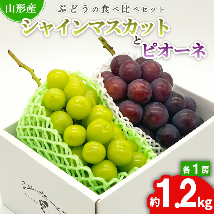 ★ぶどうの食べ比べセット★シャインマスカットとピオーネ 約1.2kg（各1房) 秀品 期間限定 【令和6年産先行予約】FS23-846 山形 山形県 山形市 フルーツ 果物 くだもの 送料無料 ぶどう 葡萄 ブドウ シャインマスカット ピオーネ