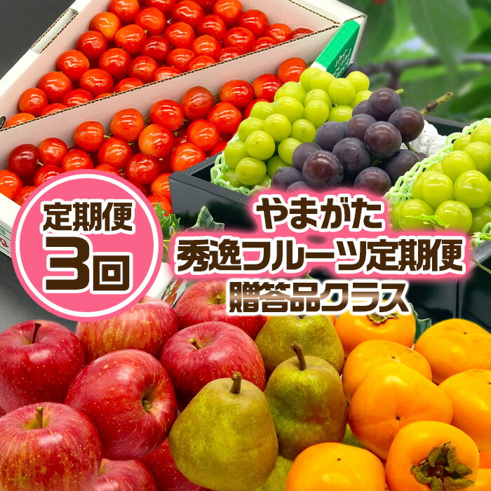 【定期便3回】やまがた秀逸フルーツ 贈答品クラス 【令和6年産先行予約】FS23-847 山形 山形県 山形市 フルーツ 果物 くだもの 送料無料 さくらんぼ 佐藤錦 ぶどう 葡萄 シャインマスカット ピオーネ 洋梨 ラフランス ラ・フランス りんご リンゴ 林檎