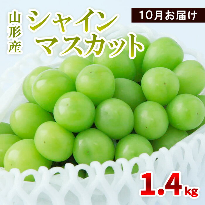 山形産 シャインマスカット 1.4kg(2〜4房) 10月お届け [令和6年産先行予約]FS23-856 山形 山形県 山形市 フルーツ 果物 くだもの 送料無料 ぶどう 葡萄 ブドウ