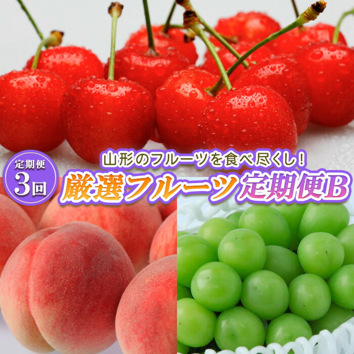 [定期便3回]山形のフルーツを食べ尽くし!厳選フルーツ定期便B [令和6年産先行予約]FS23-858 山形 山形県 山形市 フルーツ 果物 くだもの 送料無料 さくらんぼ サクランボ 佐藤錦 桃 もも モモ ぶどう 葡萄 ブドウ シャインマスカット