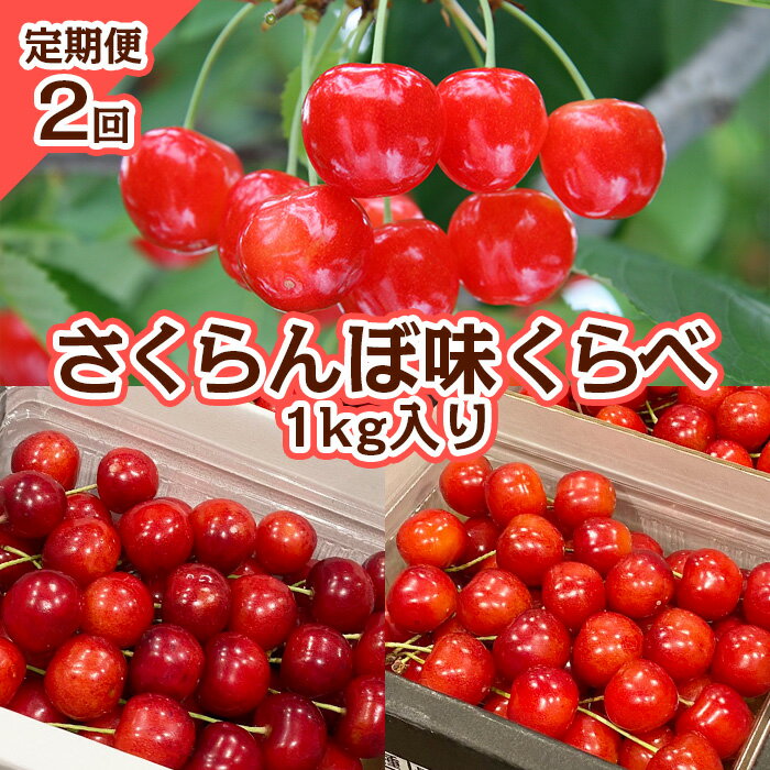 【ふるさと納税】【定期便2回】さくらんぼ 味くらべ 1kg入り 【令和6年産先行予約】FS23-866