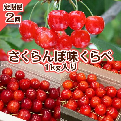 【定期便2回】さくらんぼ 味くらべ 1kg入り 【令和6年産先行予約】FS23-866 山形 山形県 山形市 フルーツ 果物 くだもの 送料無料 さくらんぼ サクランボ 佐藤錦 紅秀峰