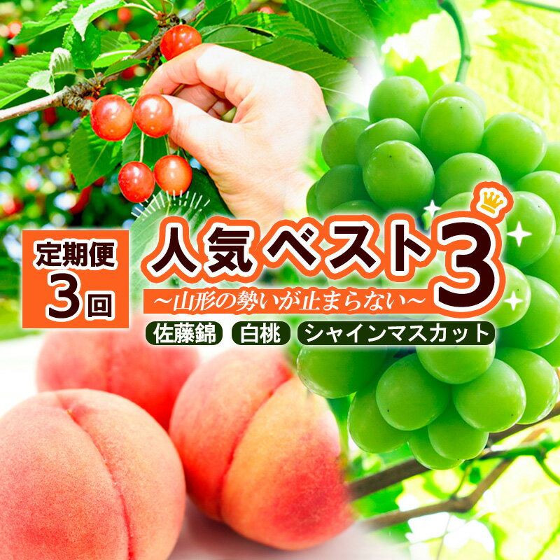 [定期便3回]人気ベスト3 〜山形の勢いが止まらない〜 (佐藤錦・白桃・シャインマスカット)[令和6年産先行予約]FS23-874 山形 山形県 山形市 フルーツ 果物 くだもの 送料無料 さくらんぼ サクランボ もも モモ ぶどう 葡萄 ブドウ シャインマスカット