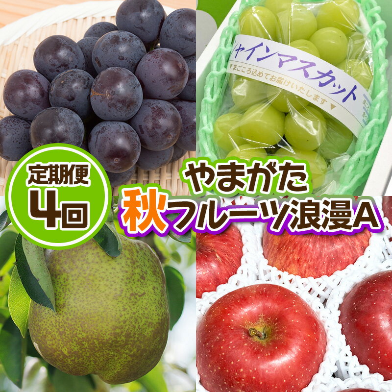 楽天山形県山形市【ふるさと納税】【定期便4回】やまがた 秋フルーツ浪漫A【令和6年産先行予約】FS23-875 山形 山形県 山形市 フルーツ 果物 くだもの 送料無料 ぶどう 葡萄 ブドウ ピオーネ シャインマスカット 洋梨 洋なし ラフランス ラ・フランス りんご リンゴ 林檎