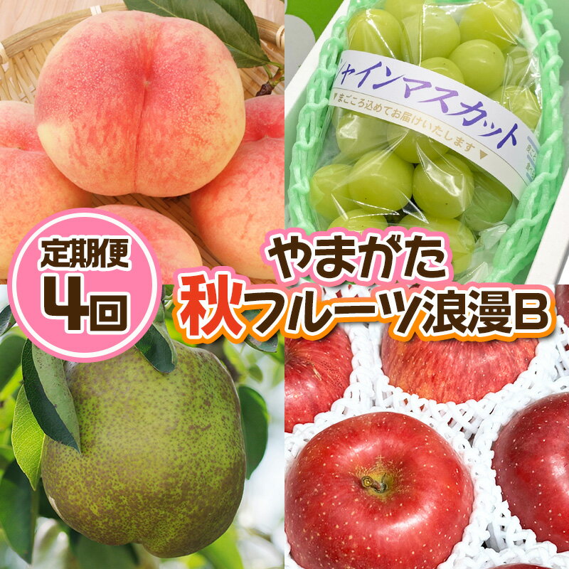 楽天山形県山形市【ふるさと納税】【定期便4回】やまがた 秋フルーツ浪漫B【令和6年産先行予約】FS23-876 山形 山形県 山形市 フルーツ 果物 くだもの 送料無料 桃 もも モモ ぶどう 葡萄 ブドウ シャインマスカット 洋梨 洋なし ラフランス ラ・フランス りんご リンゴ 林檎