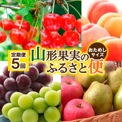 【定期便5回】山形果実のふるさと便 おためしサイズ【令和6年産先行予約】FS23-882 山形 山形県 山形市 フルーツ 果物 くだもの 送料無料 さくらんぼ サクランボ 佐藤錦紅 秀峰桃 もも ぶどう ブドウ シャインマスカット ピオーネ 洋梨 ラフランス りんご