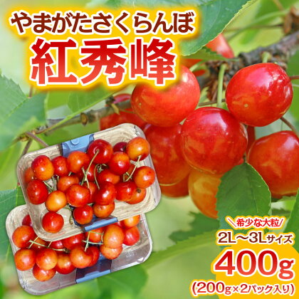 やまがた さくらんぼ 紅秀峰 "希少な大粒" 2L～3Lサイズ 400g(200g×2パック入り) 1箱【令和6年産先行予約】FS23-887 1万円 1万 10000円 山形 フルーツ 果物 くだもの 送料無料