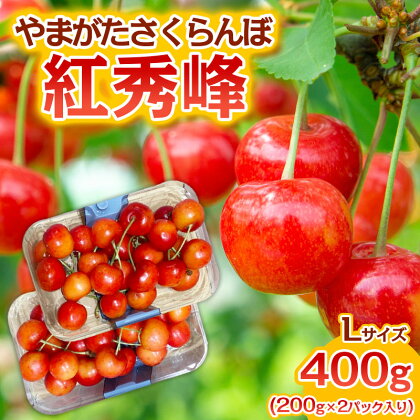 やまがた さくらんぼ 紅秀峰 Lサイズ 400g(200g×2パック入り) 1箱【令和6年産先行予約】FS23-888 9000円 山形 フルーツ 果物 くだもの 送料無料 サクランボ