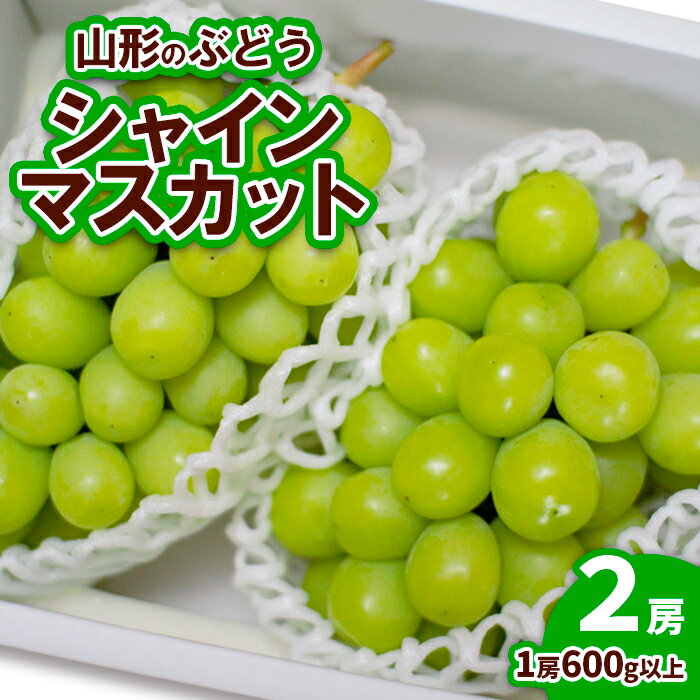 山形のぶどう シャインマスカット 2房(1房600g以上) [令和6年産先行予約]FU19-729 フルーツ くだもの 果物 お取り寄せ 先行予約