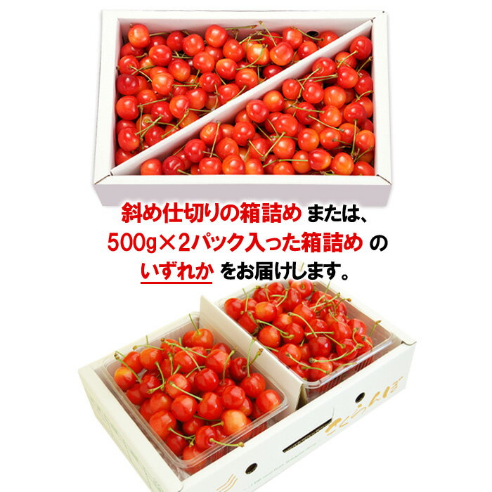 【ふるさと納税】山形のさくらんぼ 佐藤錦 1kg Lサイズ以上 バラ詰 【令和6年産先行予約】FU21-623 フルーツ くだもの 果物 お取り寄せ 先行予約