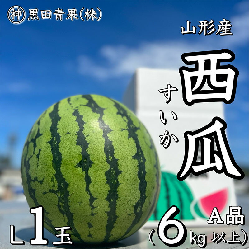 【ふるさと納税】山形産 西瓜(すいか) L 1玉(6kg以上) 【令和6年産先行予約】FU23-060 フルーツ くだもの 果物 お取り寄せ 先行予約 山形 山形県 山形市 フルーツ 果物 くだもの 送料無料 スイカ 2