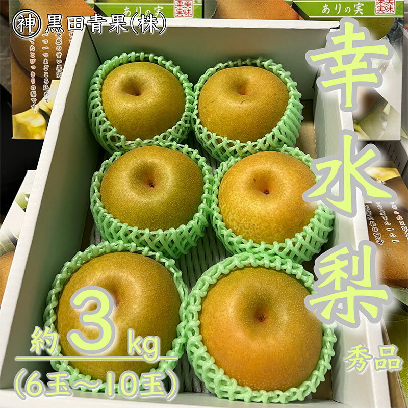 【ふるさと納税】山形県産 幸水 梨 秀品 約3kg(6～10