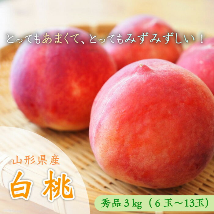 山形市産 白桃 [柔らかくなる桃] 秀品 約3kg (6玉〜13玉) [令和6年産先行予約]FU23-573 フルーツ くだもの 果物 お取り寄せ 先行予約 山形 山形県 山形市 桃 もも モモ