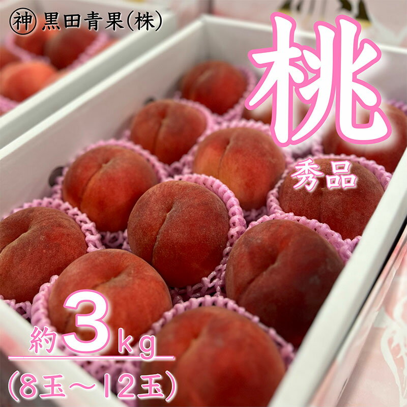 【ふるさと納税】山形産 白桃 秀 3kg(8玉～12玉) 【