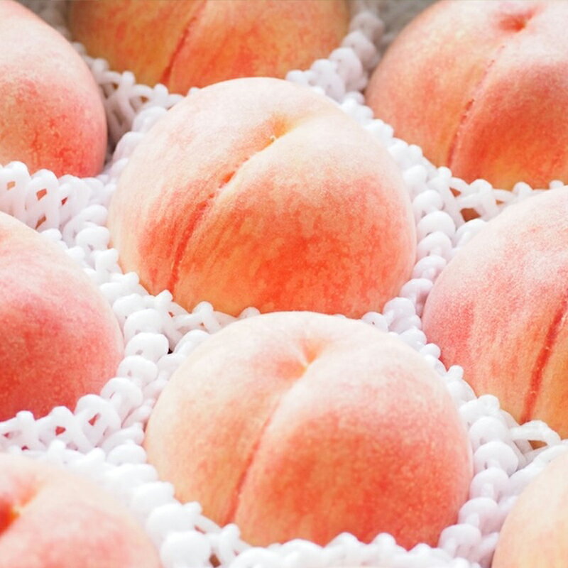 【ふるさと納税】楽天限定 山形自慢の桃 【あかつき】 約2kg【令和9年産先行予約】FS25-072 f062014-yamagata-10006681 山形県山形市 サンプル画像2