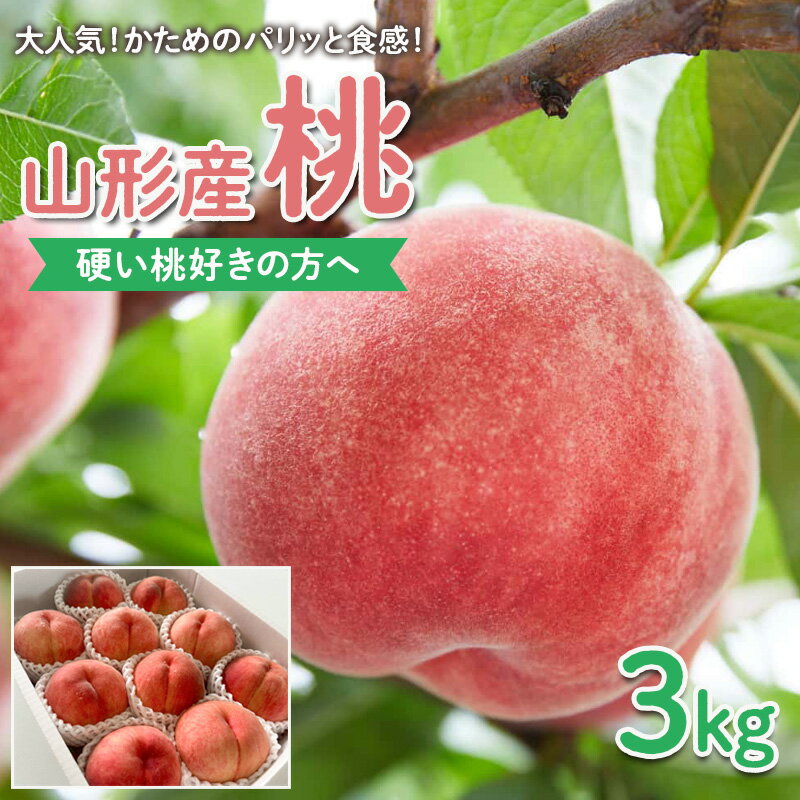 【ふるさと納税】【硬い桃好きの方へ】大人気！かためのパリッと食感！山形産 もも 3kg【令和8年産先行予約】FS25-084