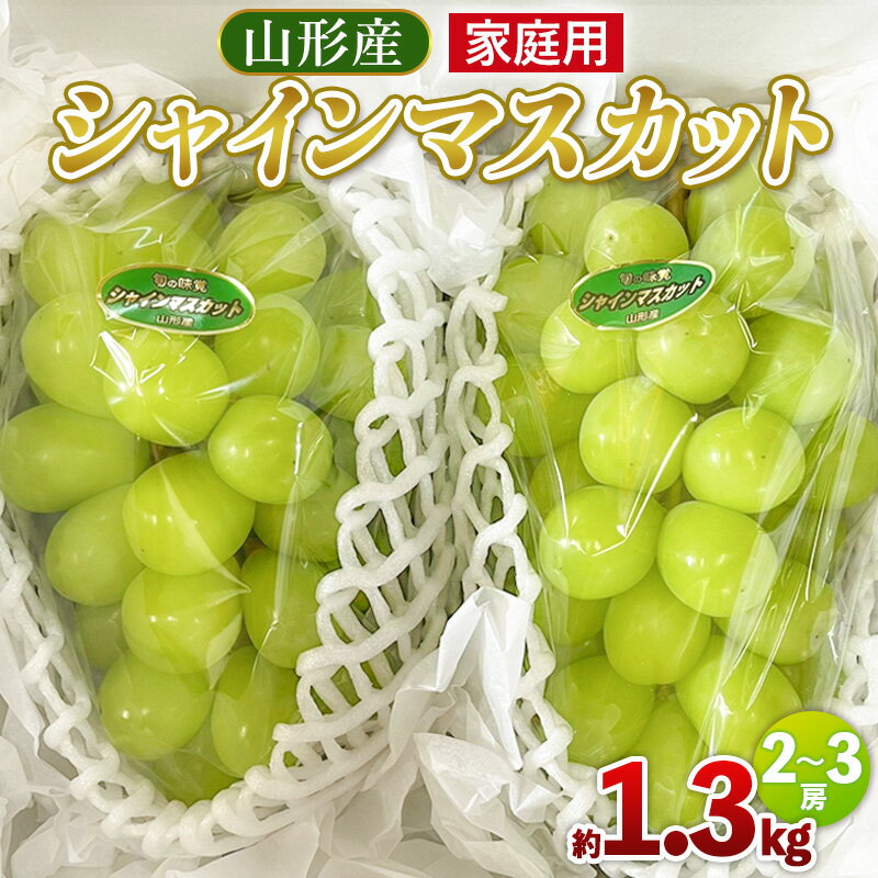 [家庭用]シャインマスカット 約1.3kg 2〜3房 [令和8年産先行予約]FU25-587 くだもの 果物 フルーツ 山形 山形県 山形市 お取り寄せ 2026年産