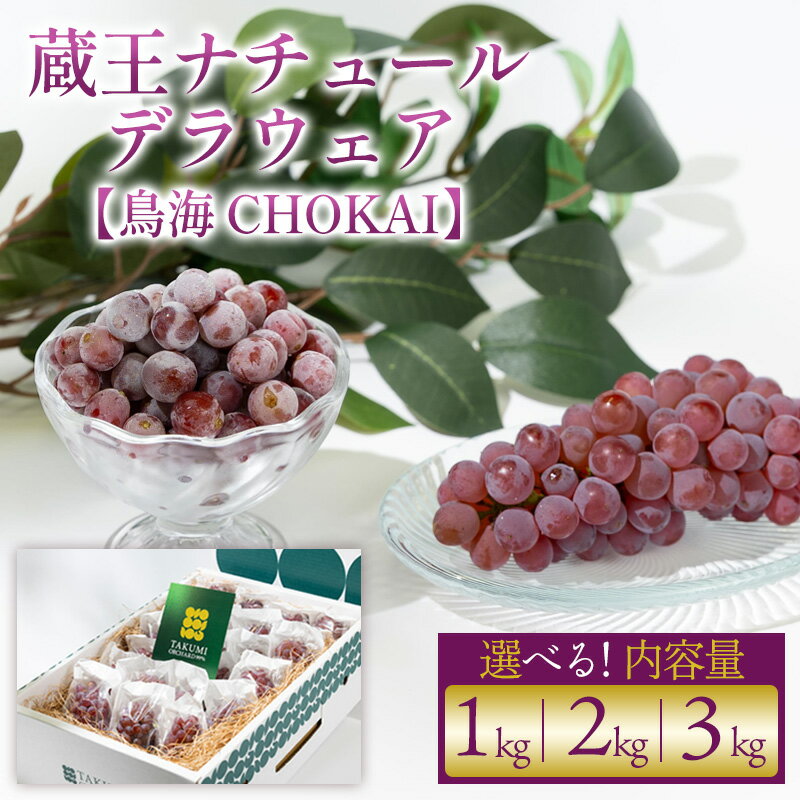 [鳥海 CHOKAI]蔵王ナチュールデラウェア TAKUMI ORCHARD 99% ご家庭 M以上房サイズ混合 約1kg 山形 山形市 フルーツ 果物 くだもの 送料無料 ぶどう 葡萄 ブドウ 減農薬[令和8年産先行予約]FS25-121