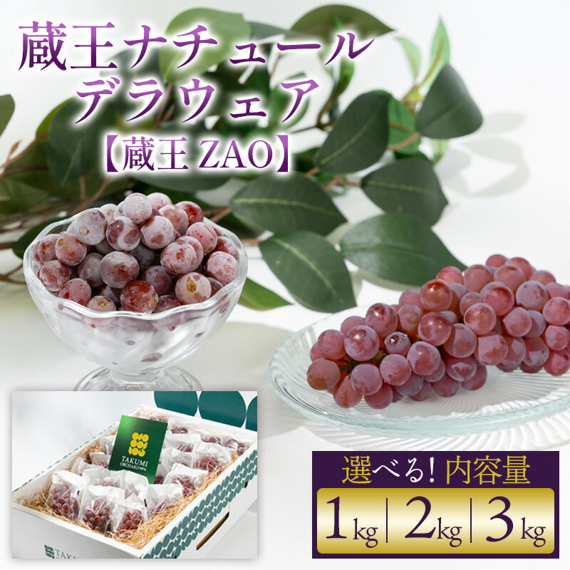 [蔵王 ZAO]蔵王ナチュールデラウェア TAKUMI ORCHARD 99% 贈答 2L以上 糖度保証 約1kg 約2kg 約3kg 山形 山形市 フルーツ 果物 くだもの 送料無料 ぶどう 葡萄 ブドウ 減農薬[令和8年産先行予約]FS25-117