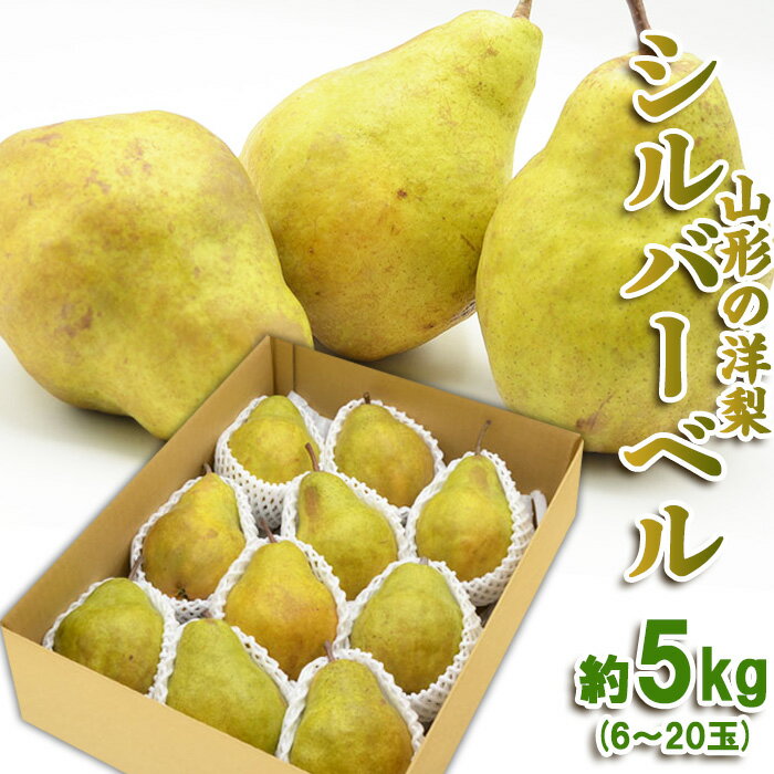 【ふるさと納税】山形の洋梨 シルバーベル 秀品 約5kg(6