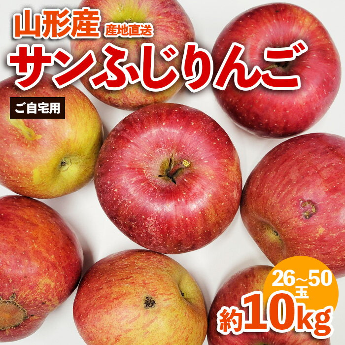 【ふるさと納税】【ご自宅用】山形産サンふじりんご 約10kg(26～50玉) FZ23-591