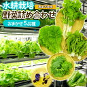 【ふるさと納税】【ミライファーム】水耕栽培 野菜詰合せ おまかせ5品種【障がい者支援】 FZ23-641 無農薬 農薬不使用 野菜 セット 詰め合わせ 山形